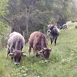 Neunerhof 아파트 *